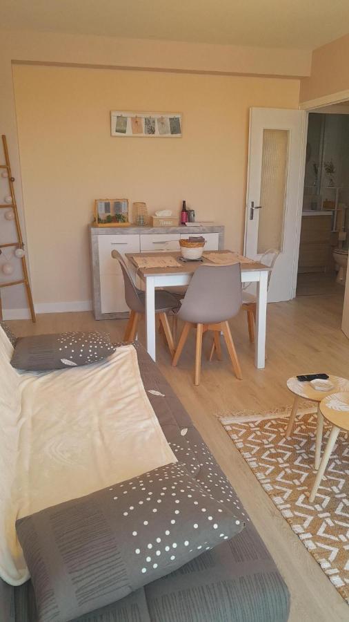 Chateauroux : Bel Appartement Avec Balcon Eksteriør billede